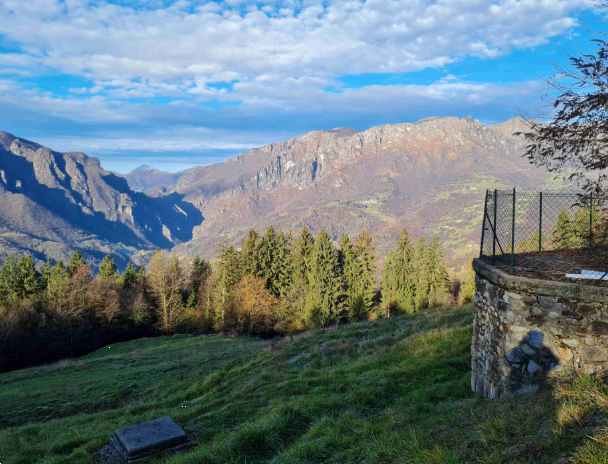 immagine annuncio 11 di 13