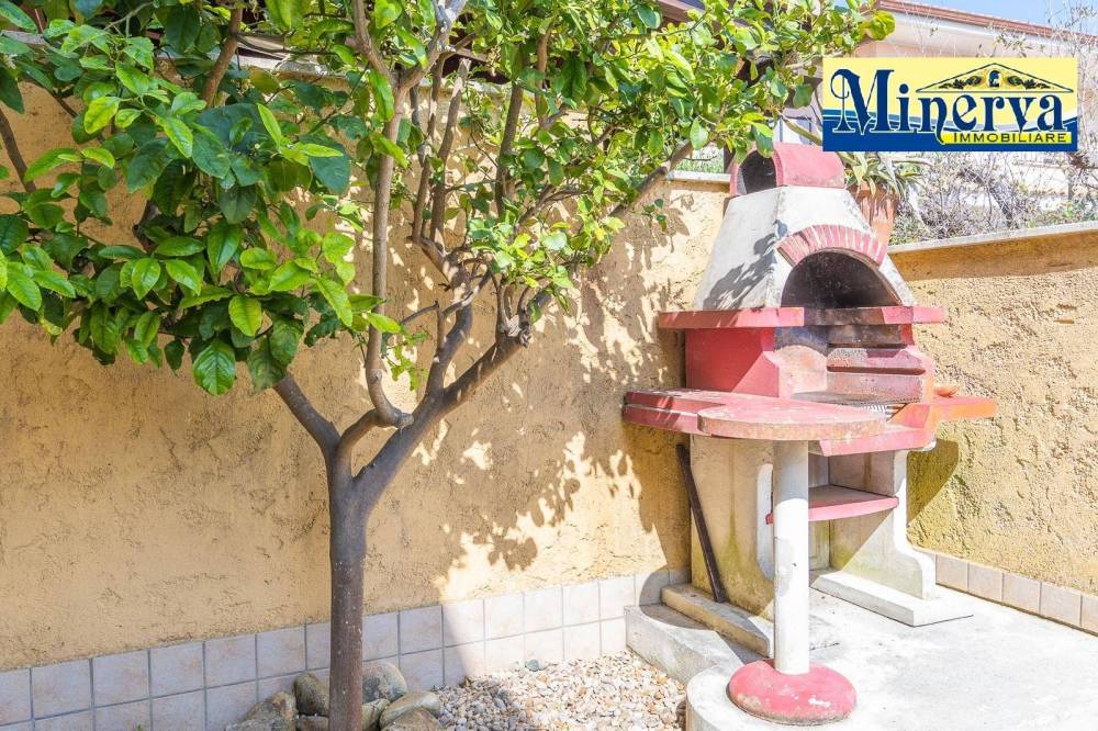 immagine annuncio 7 di 13