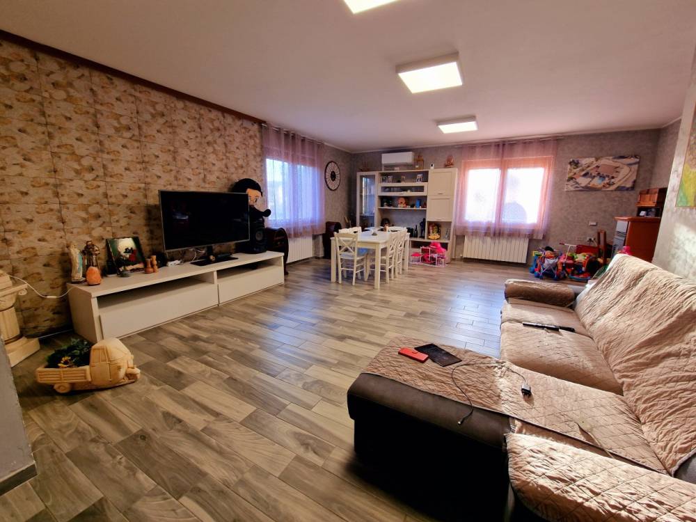 immagine annuncio 11 di 13