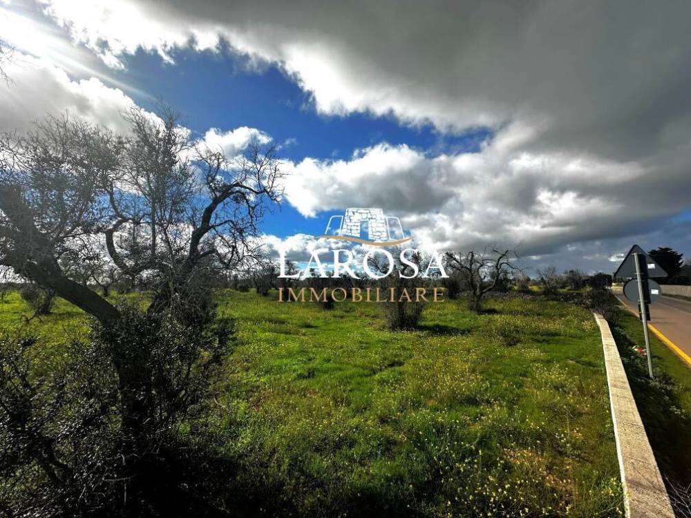 immagine annuncio 4 di 13