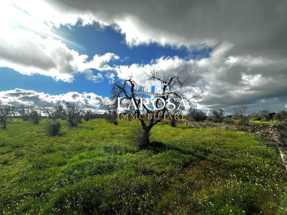 immagine annuncio 5 di 13