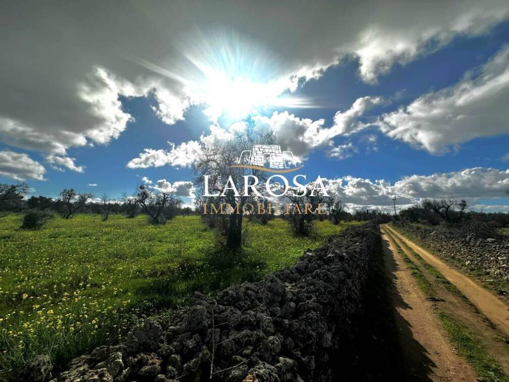 immagine annuncio 6 di 13