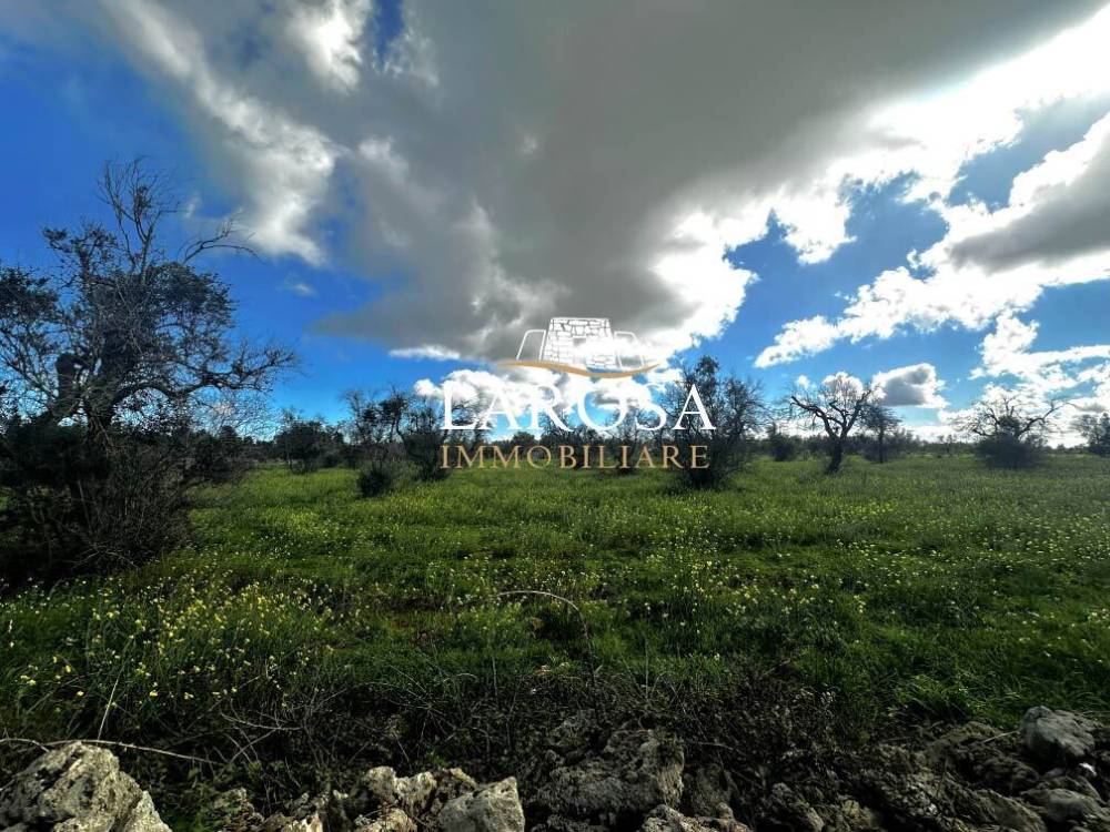 immagine annuncio 7 di 13