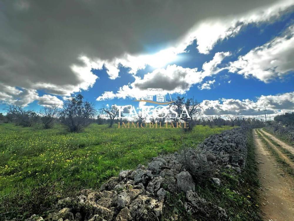 immagine annuncio 8 di 13