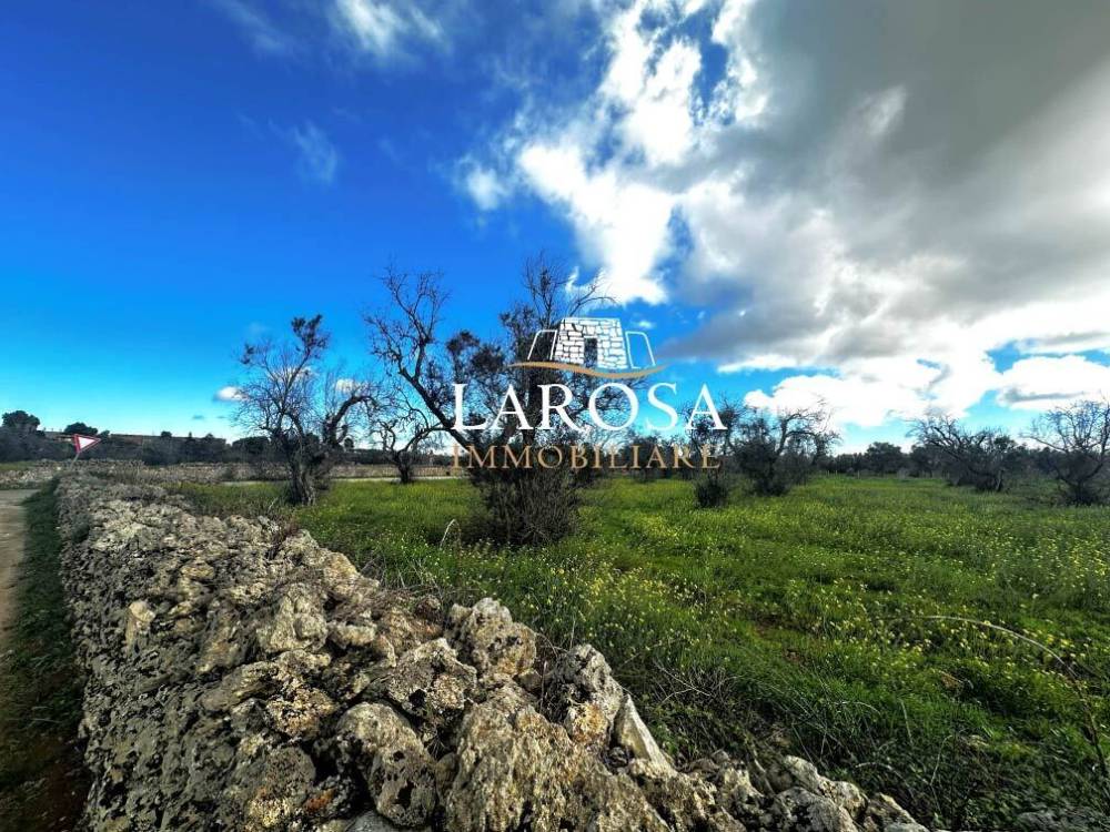 immagine annuncio 9 di 13