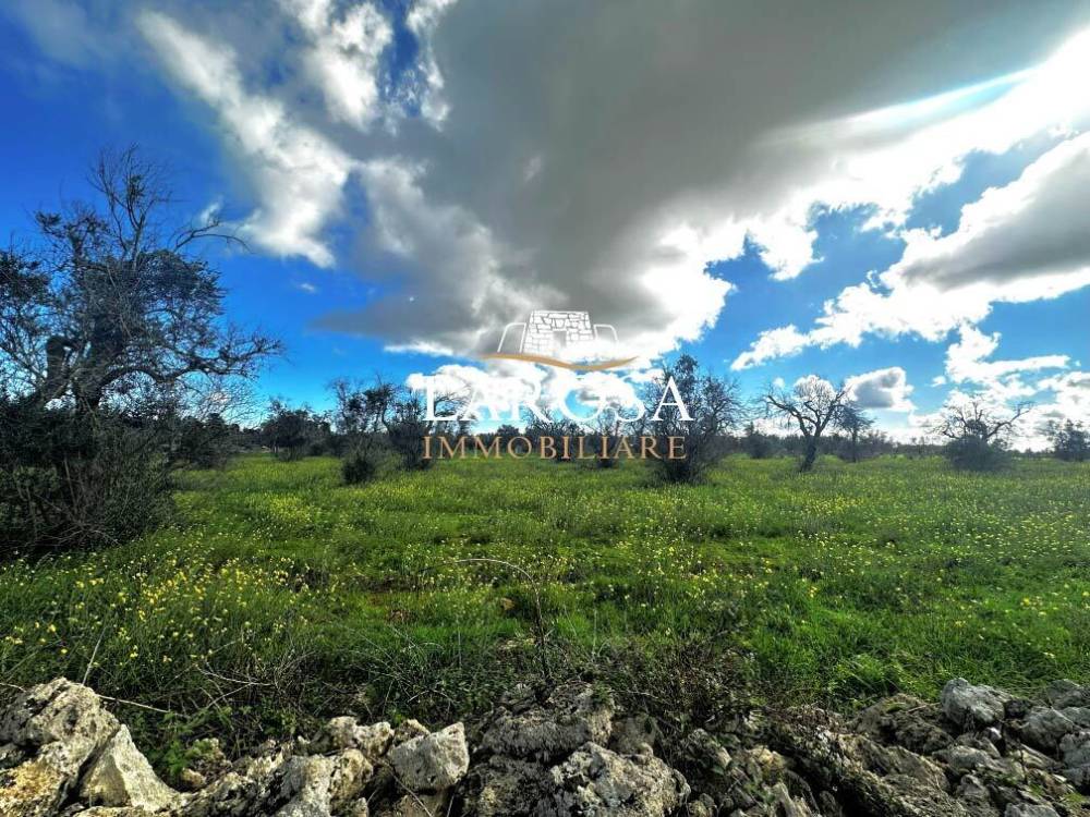 immagine annuncio 10 di 13