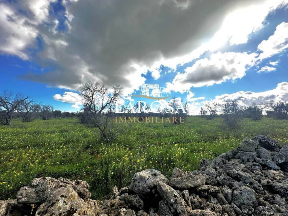 immagine annuncio 11 di 13