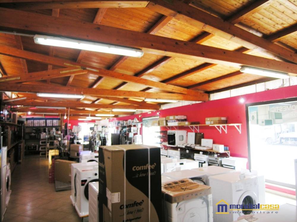 immagine annuncio 2 di 9