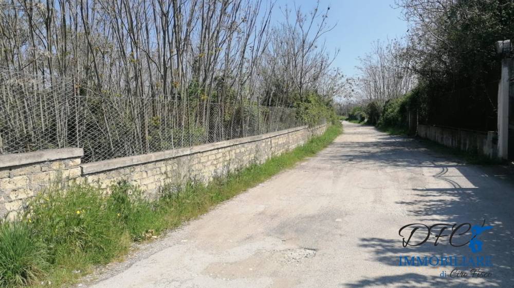 immagine annuncio 5 di 8