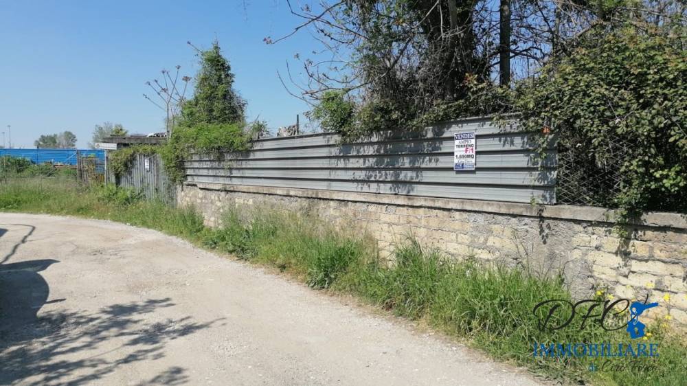 immagine annuncio 4 di 8