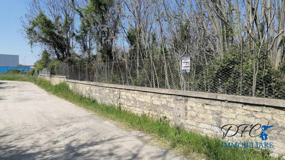 immagine annuncio 7 di 8