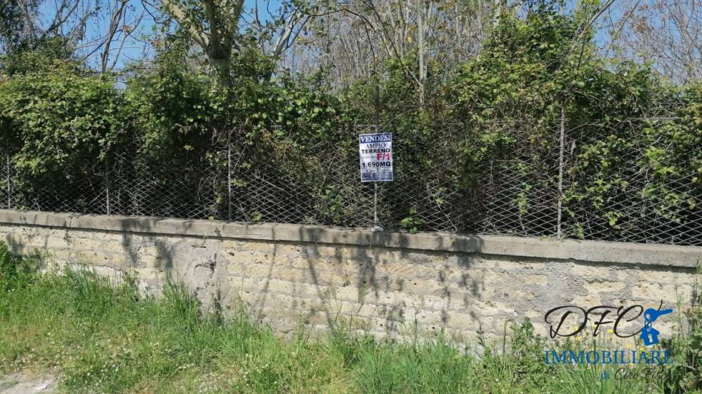 immagine annuncio 6 di 8