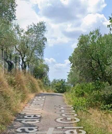 immagine annuncio 6 di 13