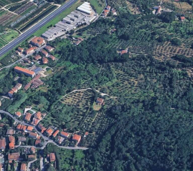 immagine annuncio 7 di 13