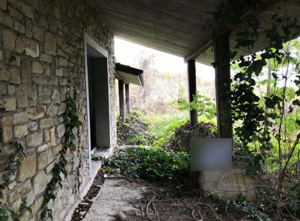 immagine annuncio 1 di 13