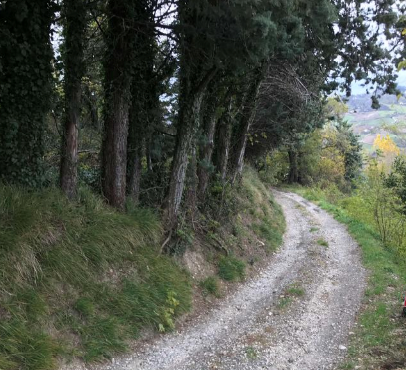 immagine annuncio 2 di 13