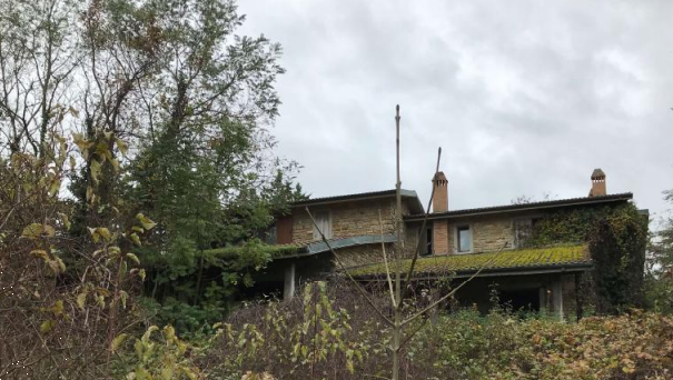 immagine annuncio 4 di 13