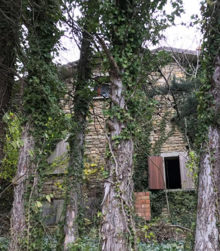 immagine annuncio 6 di 13