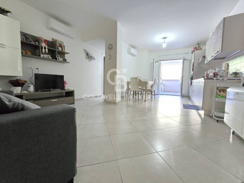 immagine annuncio 11 di 13