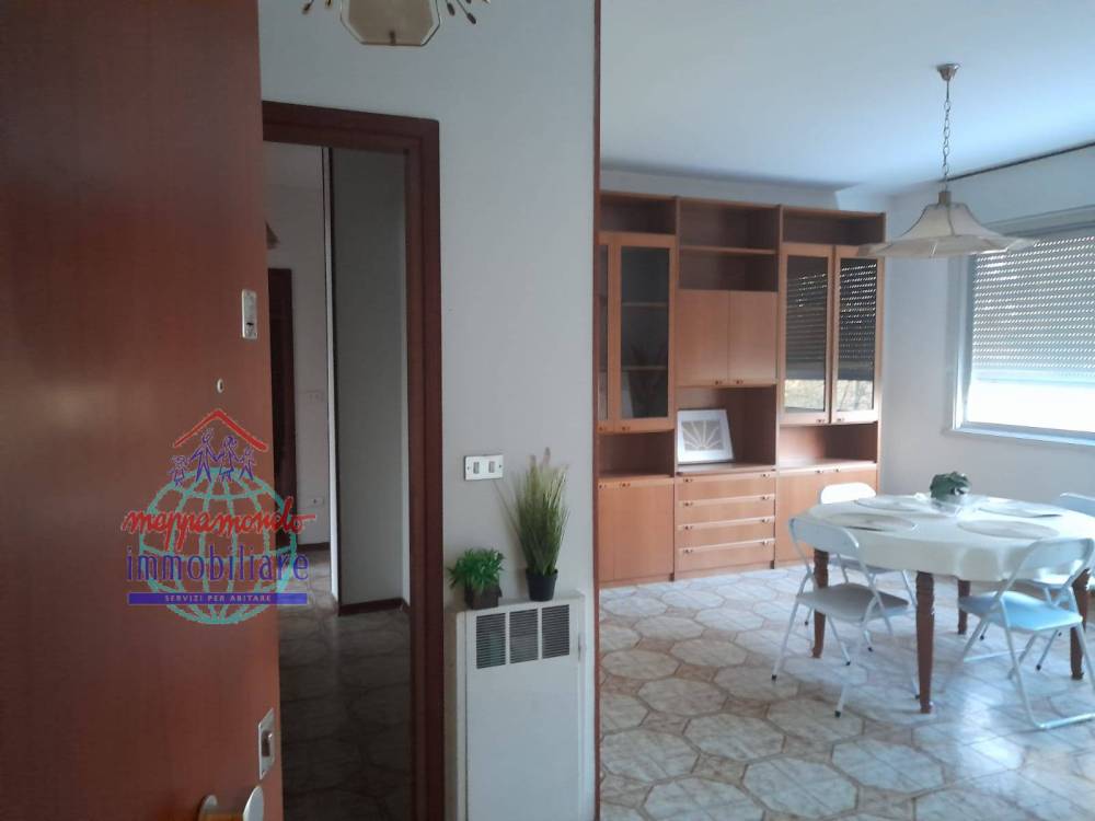 immagine annuncio 2 di 13