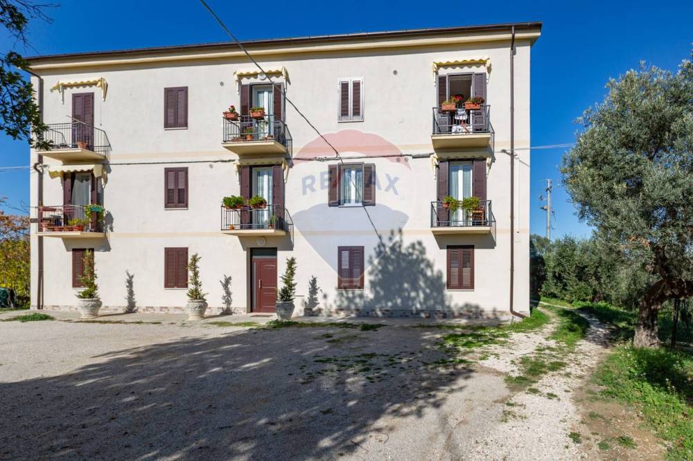 immagine annuncio 12 di 13