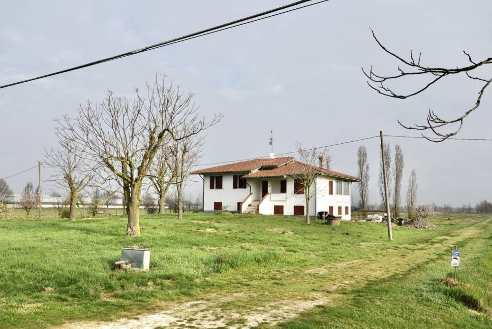 immagine annuncio 1 di 13