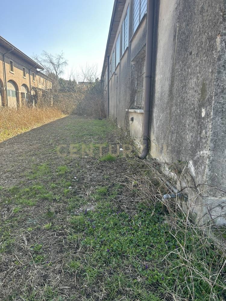 immagine annuncio 12 di 13