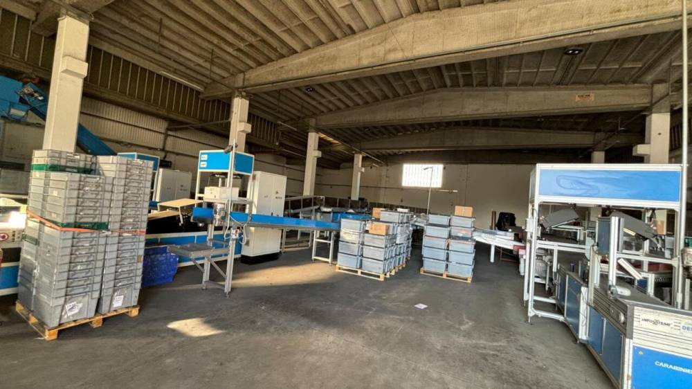 immagine annuncio 6 di 13