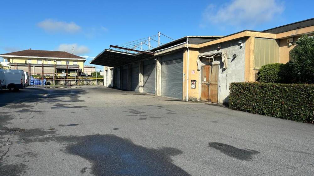 immagine annuncio 3 di 13