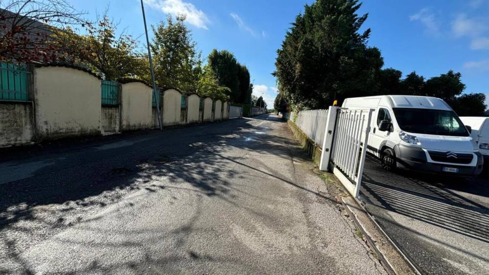 immagine annuncio 12 di 13