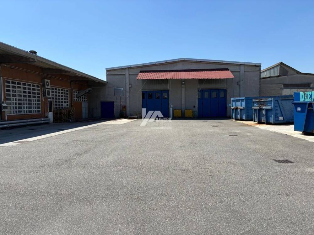 immagine annuncio 1 di 13