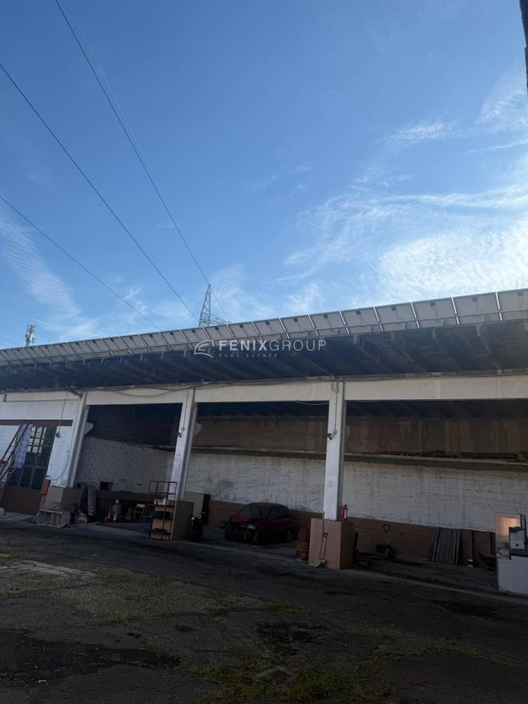 immagine annuncio 9 di 13