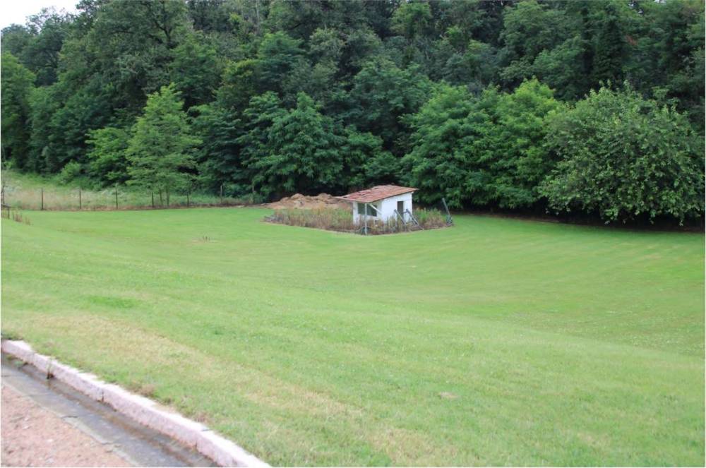 immagine annuncio 11 di 13