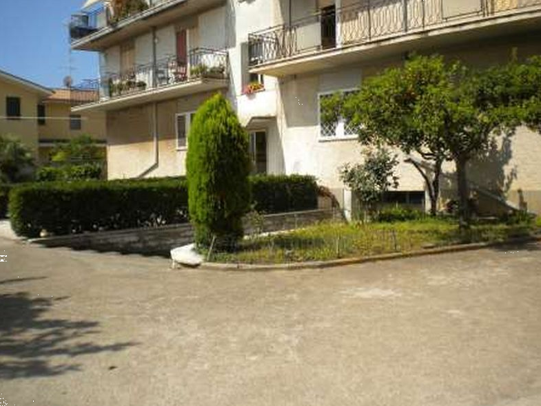 immagine annuncio 2 di 13