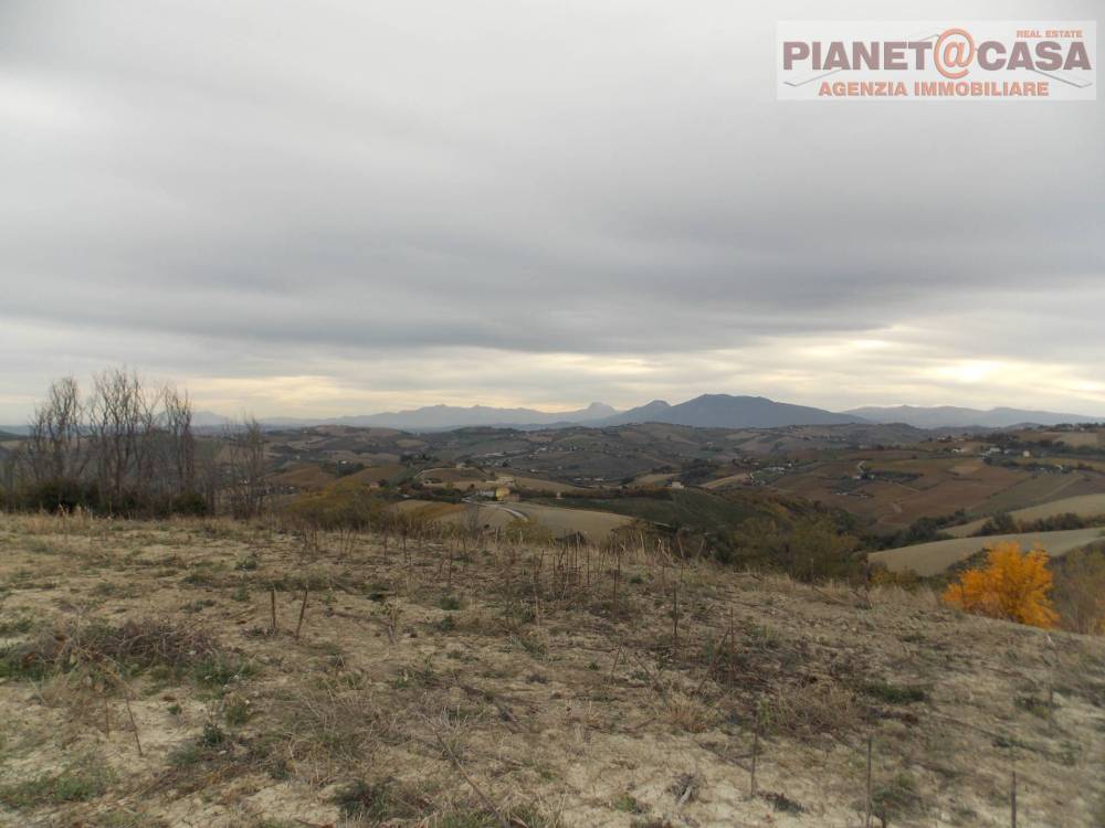 immagine annuncio 7 di 13