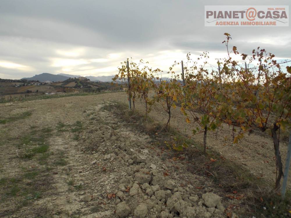 immagine annuncio 12 di 13