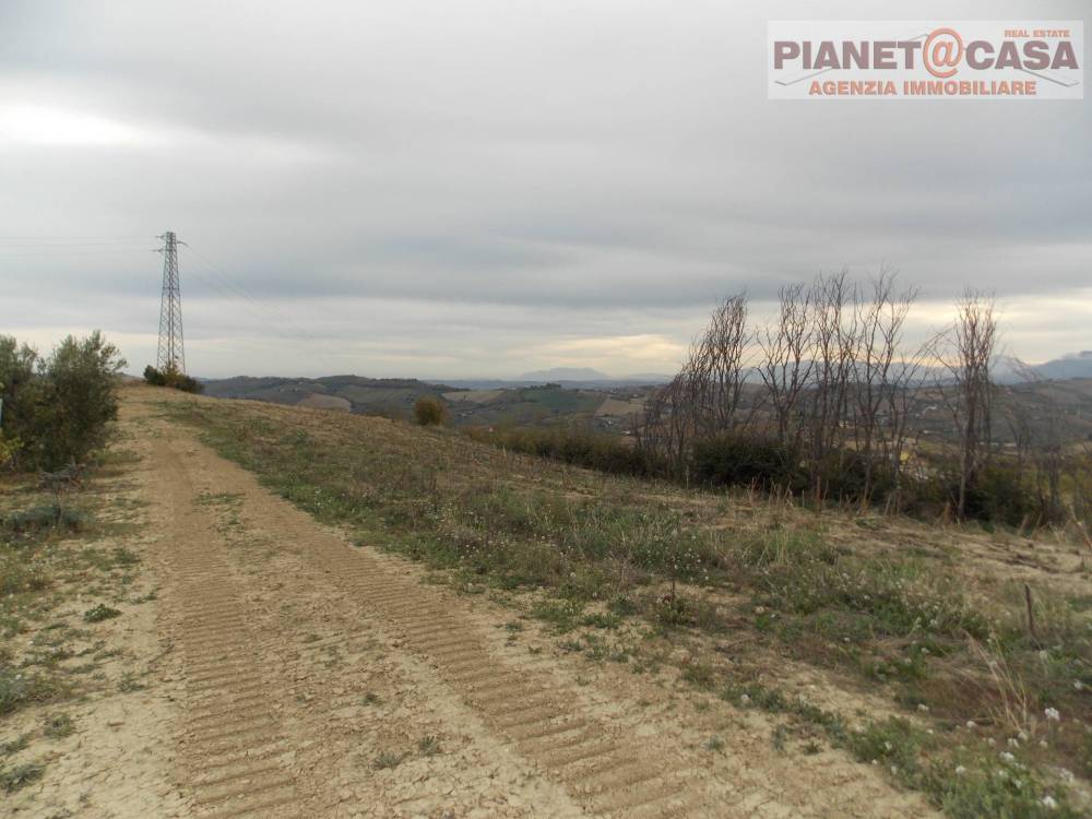 immagine annuncio 6 di 13