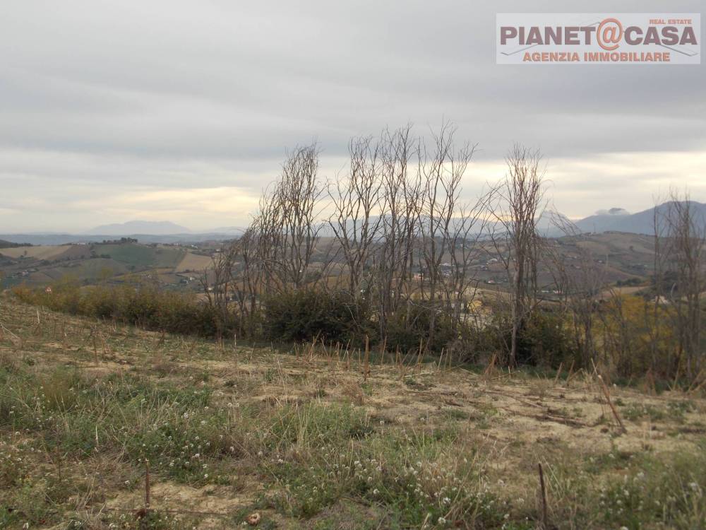 immagine annuncio 8 di 13