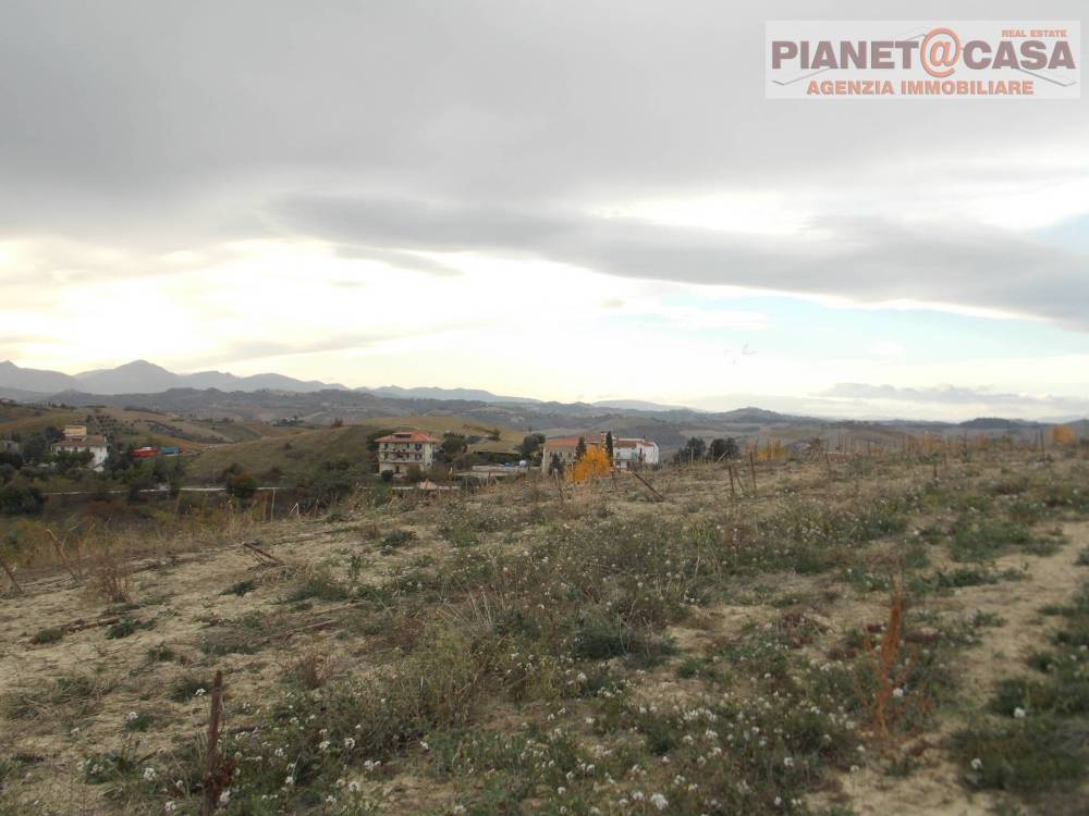 immagine annuncio 9 di 13