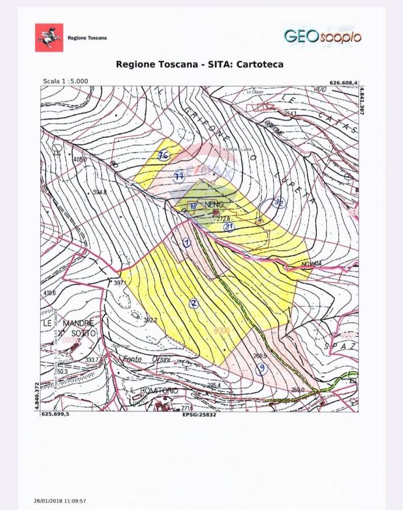 immagine annuncio 7 di 13