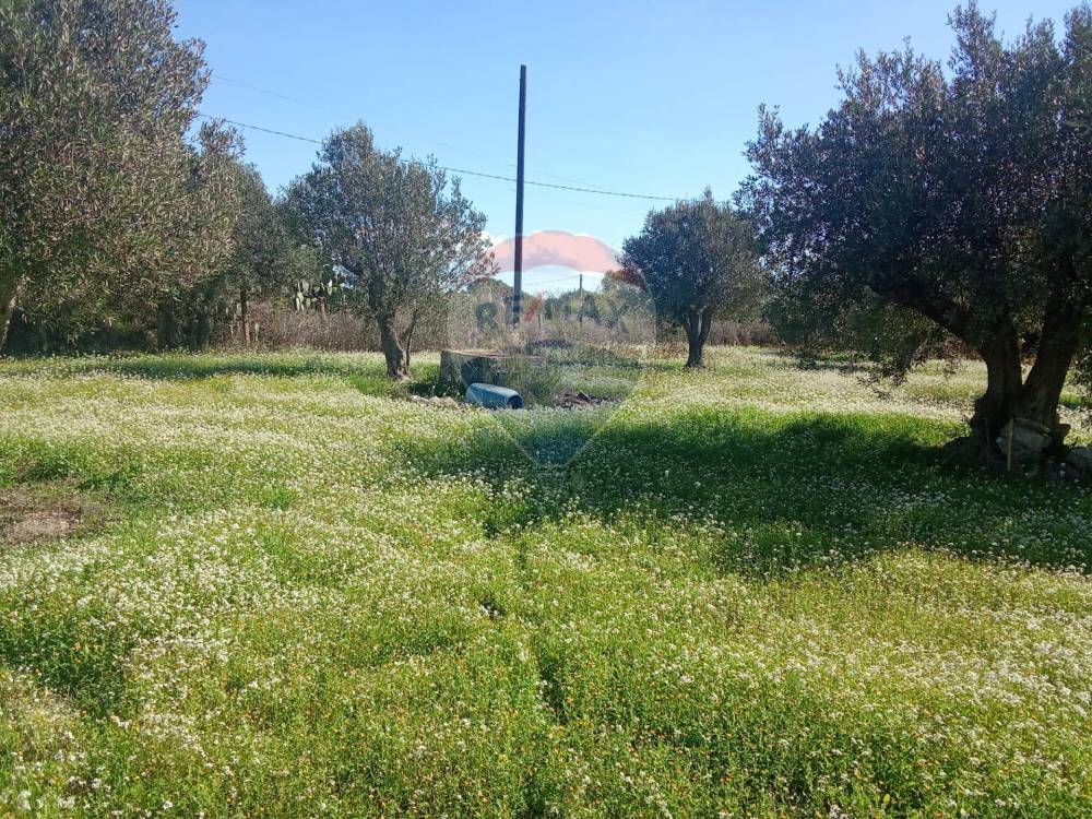 immagine annuncio 4 di 13