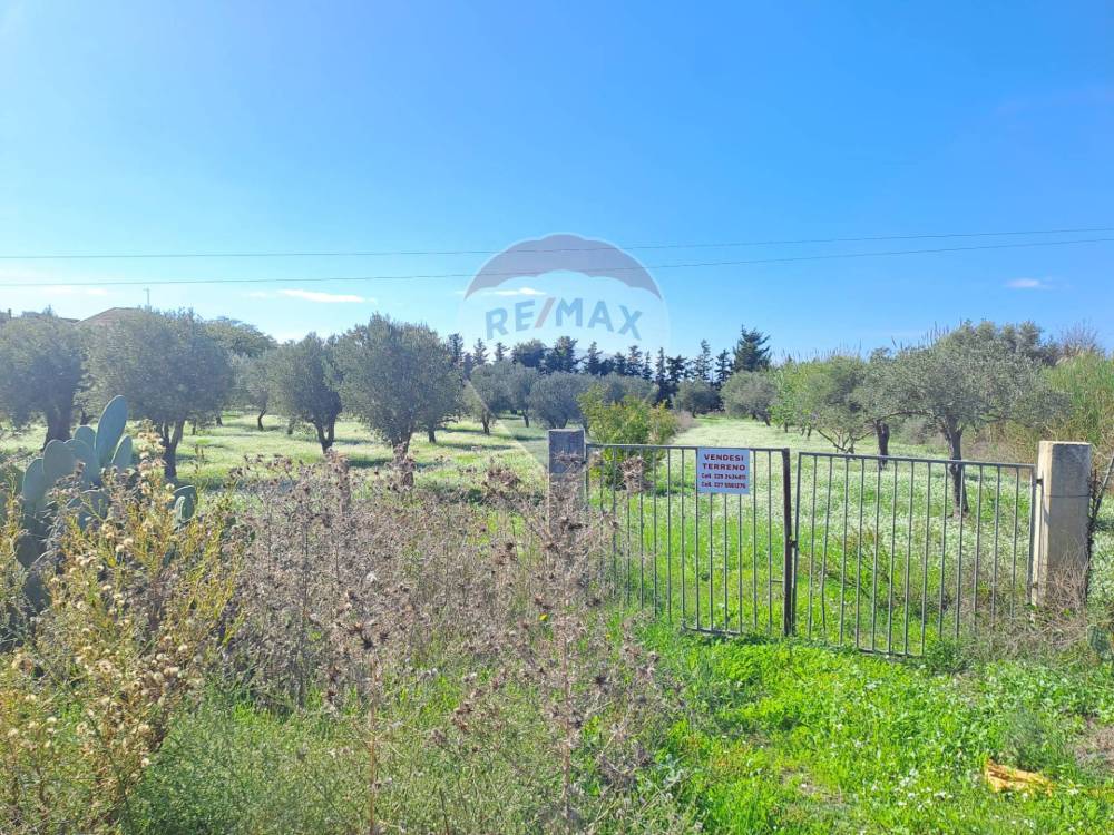 immagine annuncio 8 di 13