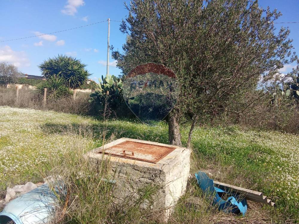 immagine annuncio 11 di 13