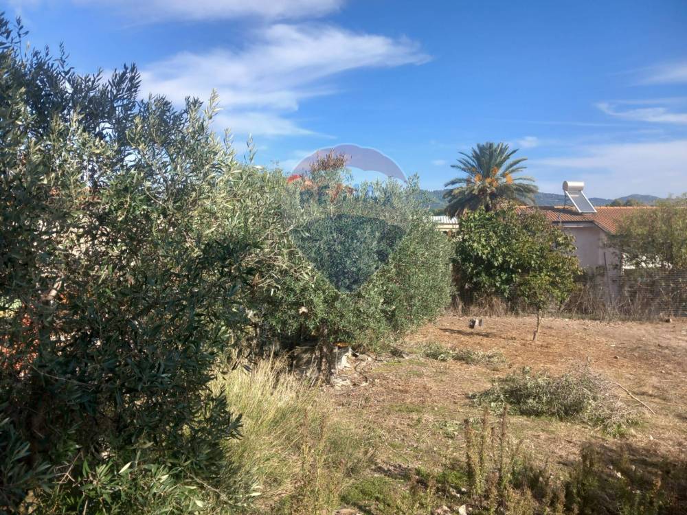 immagine annuncio 10 di 12