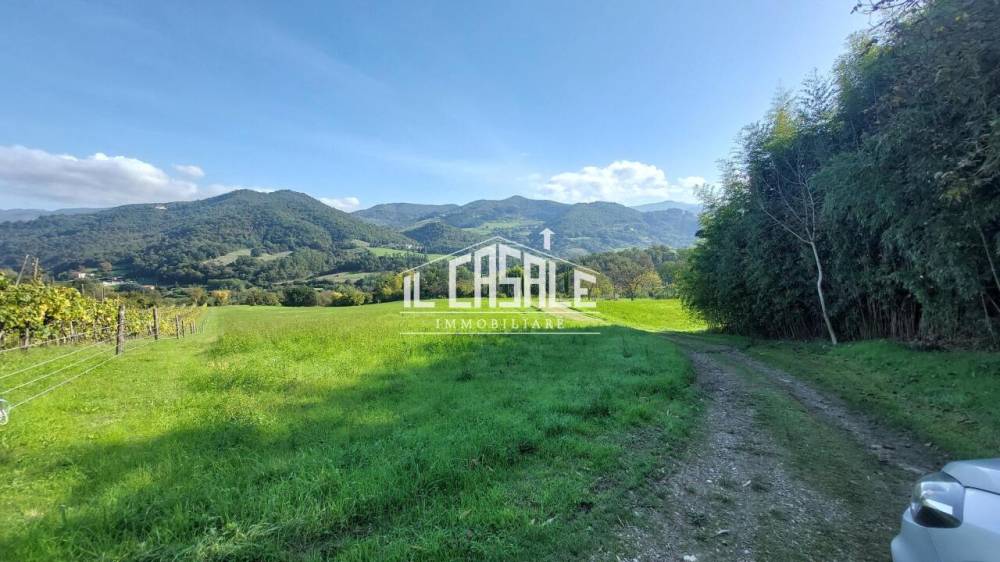 immagine annuncio 10 di 13