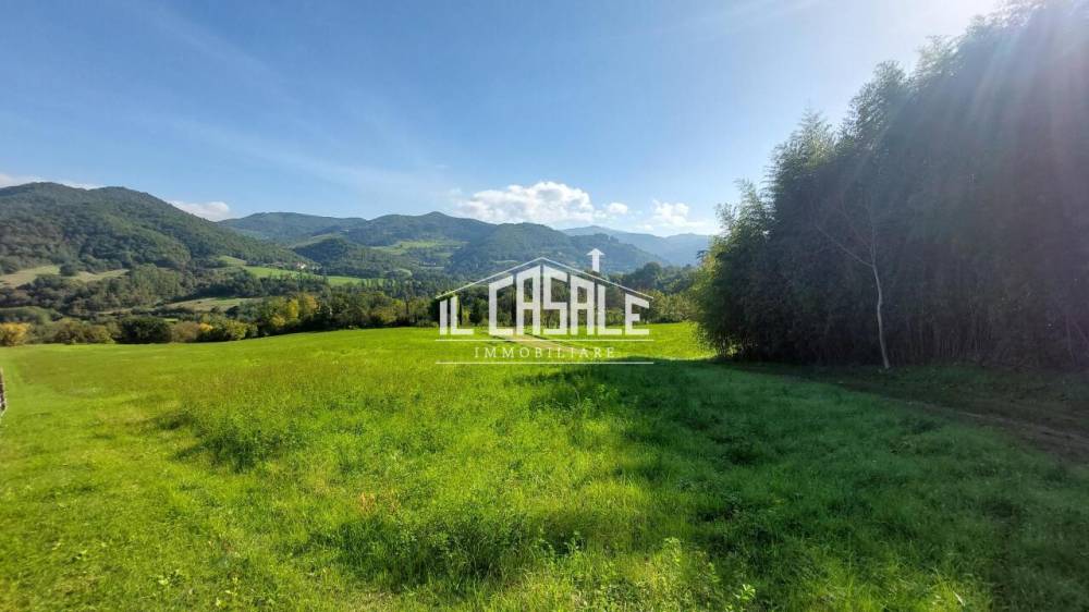 immagine annuncio 9 di 13