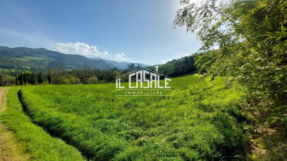 immagine annuncio 8 di 13