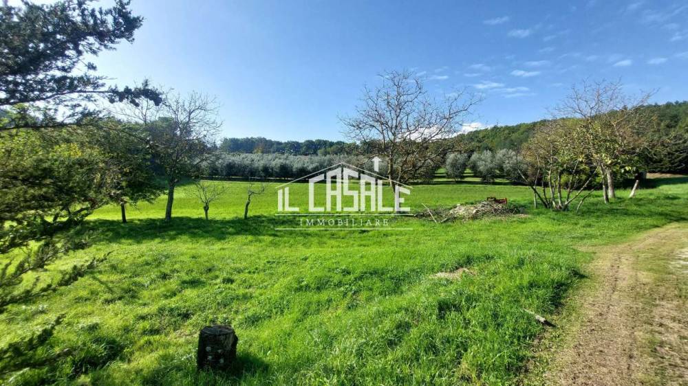 immagine annuncio 6 di 13