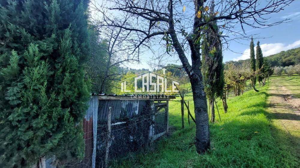 immagine annuncio 4 di 13