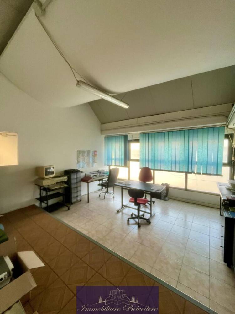 immagine annuncio 10 di 12